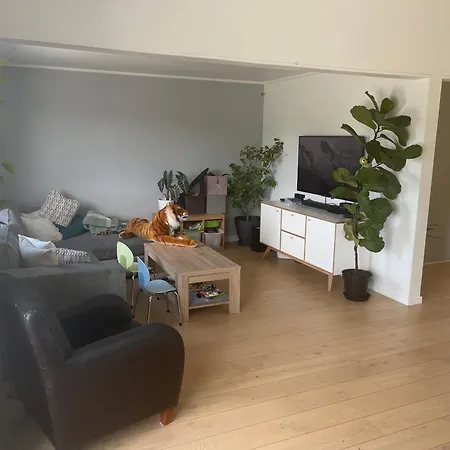 Nesoya Family House *
